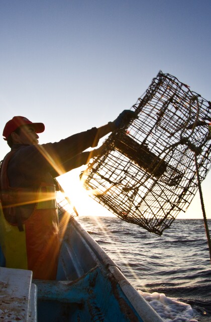 SmartFish helps entrepreneurial fishing cooperatives find greater value in sustainability (008)
