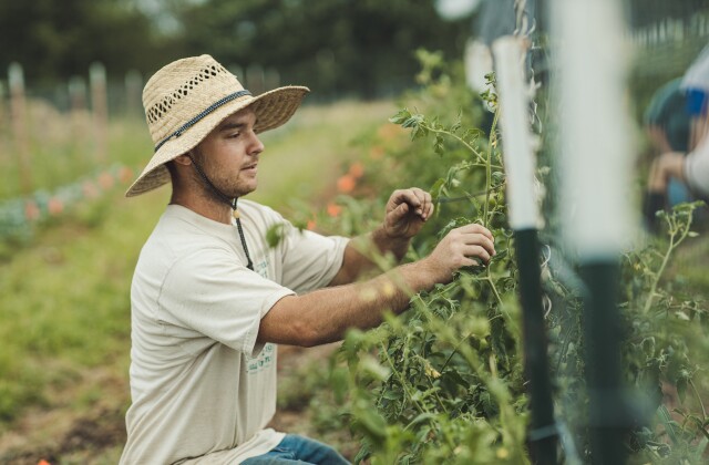 Northwest Arkansas Food Systems. Frank Ostapowicz apprentice