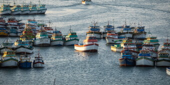 Peru Fisheries 5