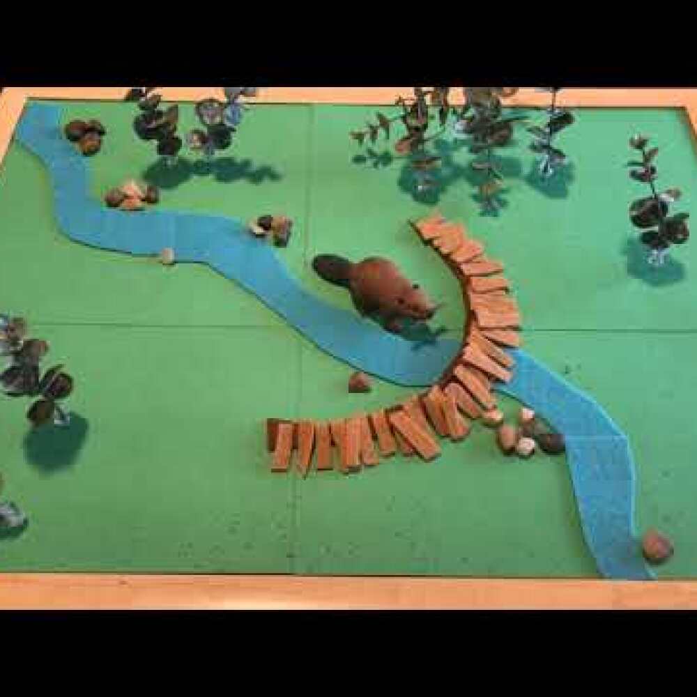 Beavers and Wildfire: A Stop-Motion Video by Emily Fairfax