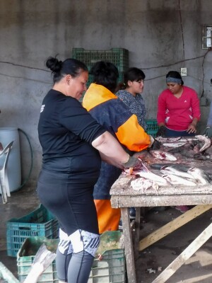 Women in Mexican fisheries 1