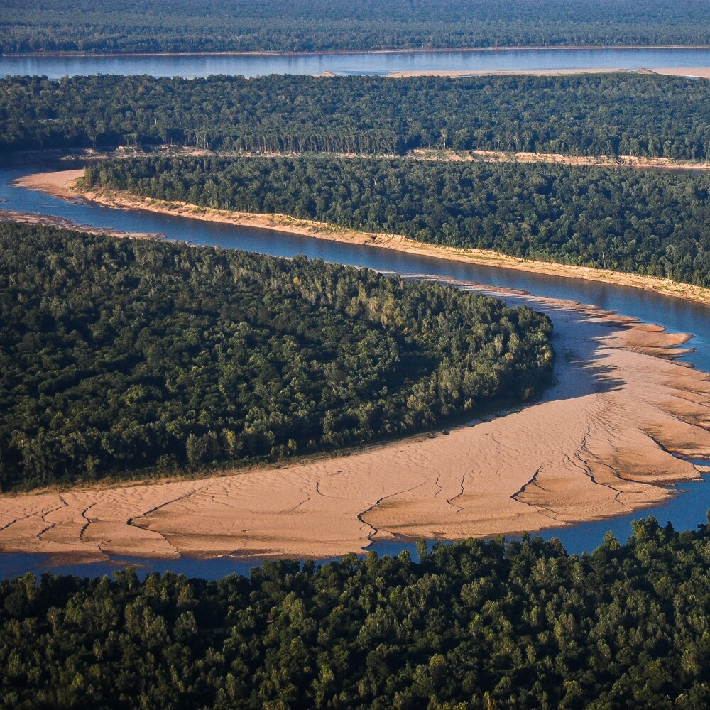 Mississippi River Delta Region Scenic 1