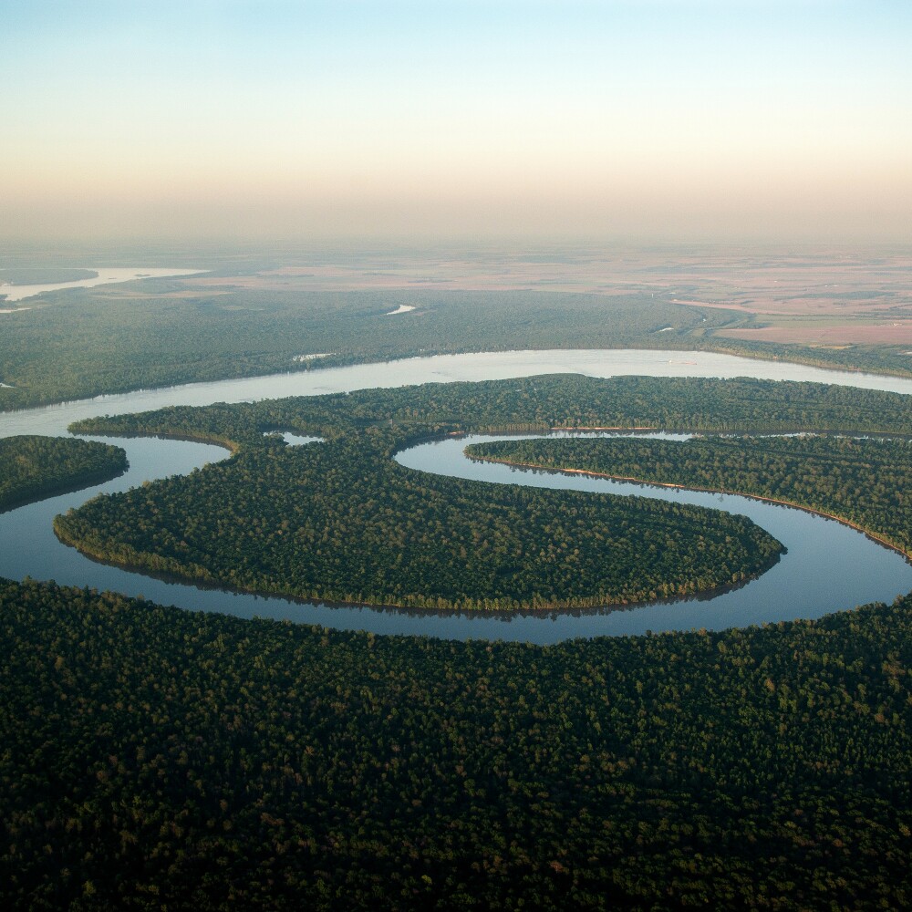 Mississippi River Delta Region Scenic 3